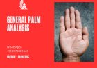 General Palm Analysis