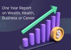 One Year Report on Wealth , Health & Business or Career