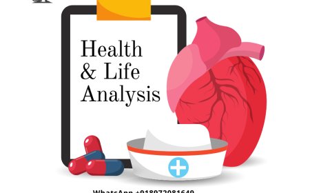 Health & Life Analysis