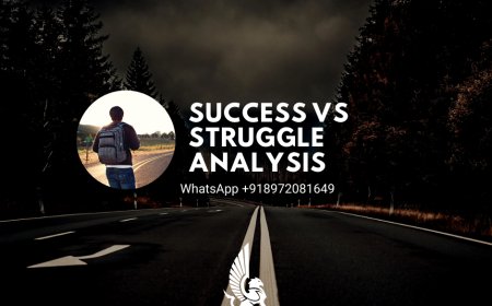 Success vs Struggle Analysis