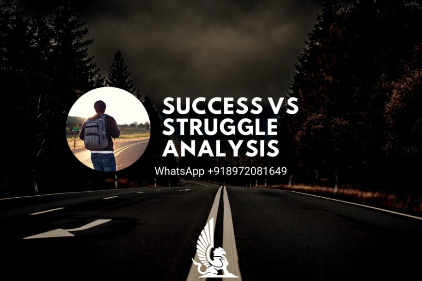 Success vs Struggle Analysis
