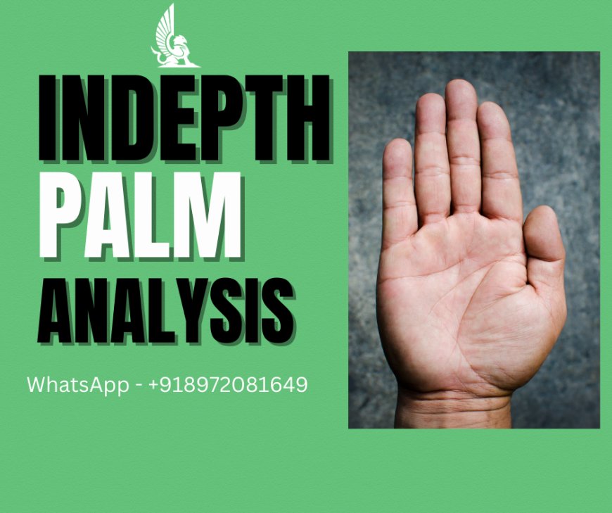Indepth Palm Analysis