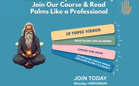 Online Palm Course