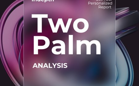 Two Palm In Depth Analysis.